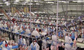 Maringá foi o segundo município que mais gerou emprego no Paraná 