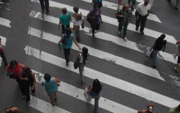 Número de mortes por atropelamentos cai em 17% no Paraná 