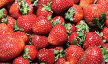 Vigilância Sanitária proíbe venda e consumo de lote de morango do Rio Grande do Sul 