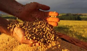 Tradição exportadora coloca Paraná como líder do País em sete produtos 