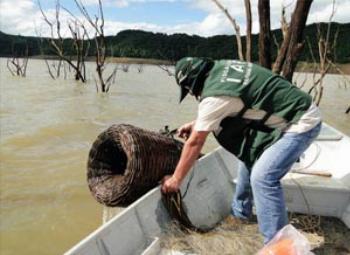 Proibição de pesca a espécies nativas começa terça-feira (1) no Paraná 