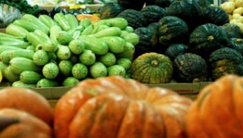 27% das amostras de alimentos analisadas têm excesso de resíduos de agrotóxicos  