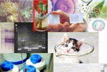 Especialização em Biotecnologia está com inscrições abertas 