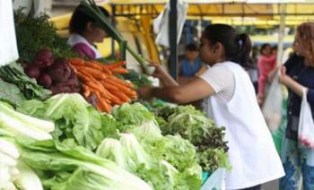 Feira de orgânicos é realidade em Maringá 