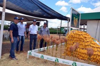 Eventos tecnológicos em Maringá e Londrina mobilizam 10 mil produtores Eventos tecnológicos em Maringá e Londrina mobilizam 10 mil produtores