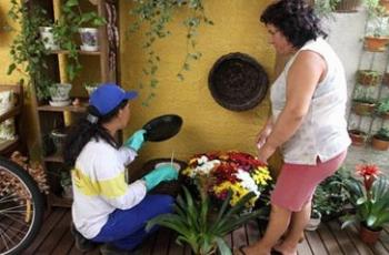 Veja alguns cuidados para prevenir a dengue na semana pré-Carnaval 
