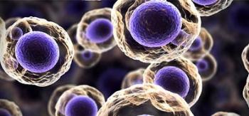 Inscrições abertas para o Curso de Inverno em Biologia Celular e Molecular 