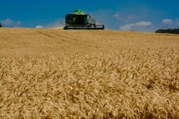 Economia do Paraná cresceu 2,5% no primeiro trimestre 