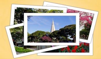 Concurso fotográfico que registra as belezas de Maringá está com inscrições abertas 