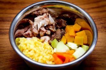 Cães e gatos podem consumir vegetais e frutas? 