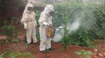 Controle de pragas urbanas exige combate e conscientização Controle de pragas urbanas exige combate e conscientização