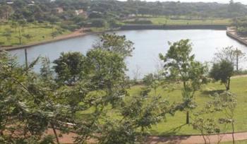 Prefeitura vai licitar compra de aeradores para purificar lagos dos parques 