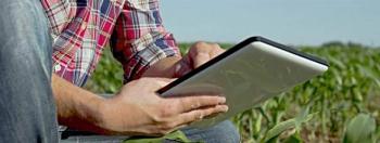 Produtor rural está conectado à tecnologia da informação  