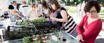Expoflor espera comercializar mais de R$ 350 mil flores e plantas 
