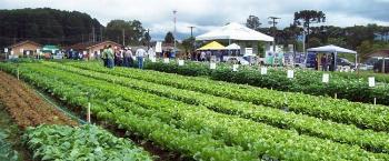 Simpósio Sul Brasileiro reunirá mais de 600 agricultores em Maringá Simpósio Sul Brasileiro reunirá mais de 600 agricultores em Maringá