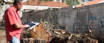 Tecnologia agiliza atendimento de serviços de poda e remoção de árvores 