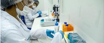 Laboratório de biotecnologia de Maringá alcança mercado internacional Laboratório de biotecnologia de Maringá alcança mercado internacional