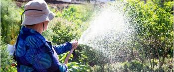 Hortas comunitárias proporcionam alimentos, integração social e qualidade de vida Hortas comunitárias proporcionam alimentos, integração social e qualidade de vida