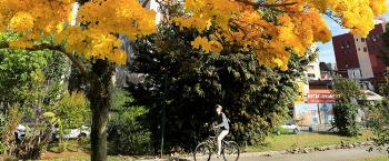 Com influência de La Niña primavera deve trazer chuvas 