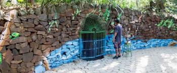 Grafite homenageia fauna e história do parque 