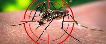 Dia D contra dengue tem início nesta terça-feira (17) 