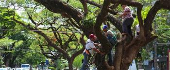 Maringá EnCantada′ entra no ritmo da abertura do Natal 
