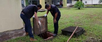 Equipes estratégicas intensificam o controle de animais peçonhentos 