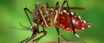 Campanha da vacina da dengue começa hoje (20) no Paraná 