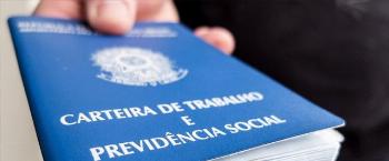 Novos empregos injetaram R$ 2,5 mi na economia de Maringá em 2018, estima CODEM 