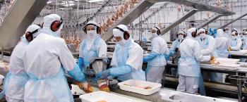 Maringá está entre as cidades que mais abriram postos de trabalho no Interior 