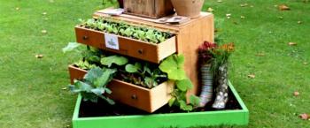 Saiba como produzir um Jardim Sustentável 