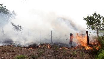 Clima seco aumenta risco de queimadas Clima seco aumenta risco de queimadas