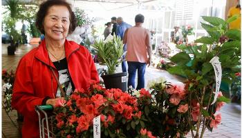 Expoflor abre e compradores enchem o carrinho 