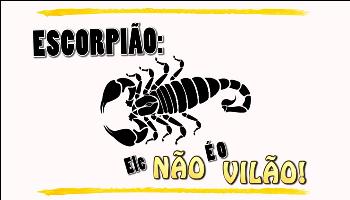 Centro de Controle de Intoxicações do HU apoia vídeo de alerta sobre escorpiões Centro de Controle de Intoxicações do HU apoia vídeo de alerta sobre escorpiões