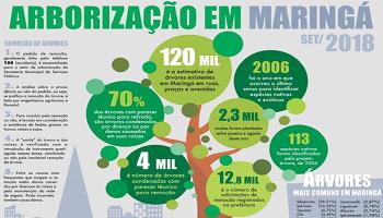 Maringá conta com 120 mil árvores; data simbólica é celebrada nesta sexta-feira (21) 