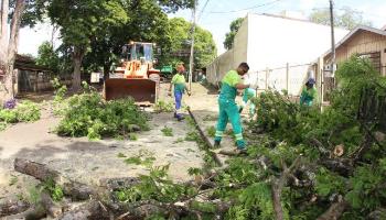 Equipes da Prefeitura redobram esforços para reduzir impacto dos vendavais 