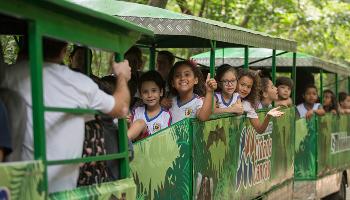 Trenzinho, museu e trilhas estimulam visita ao Parque do Ingá 