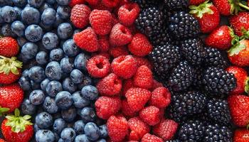 Frutas vermelhas, alimentos ricos em vitamina C podem ajudar na prevenção do câncer de pele 