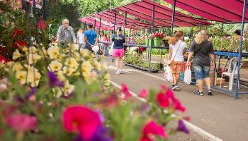 Feira recomeça nesse domingo (13), com variedades de flores e plantas 