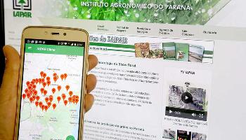 Iapar desenvolve ferramentas tecnológicas para ajudar agricultores Iapar desenvolve ferramentas tecnológicas para ajudar agricultores