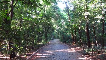 Meio Ambiente abre inscrições para trilhas no Parque do Ingá 