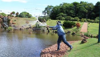 Grupo de voluntários inicia manejo de espécies invasoras do lago 