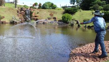 Despesca retira espécies invasoras dos lagos do Parque do Japão 