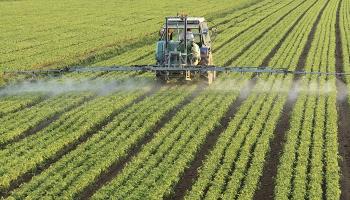 Paraná poderá ser maior o produtor de alimentos do mundo 