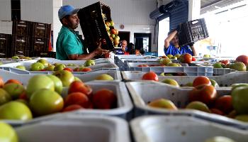 Paraná inicia programa para reduzir desperdício de alimentos Paraná inicia programa para reduzir desperdício de alimentos
