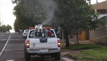 Aumentam os casos de dengue no Paraná 