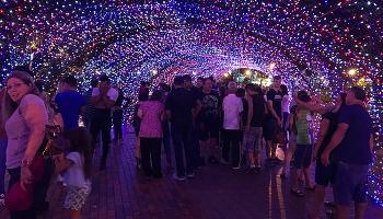 Projeto de Natal promete surpresa e encantamento com luzes e tecnologia Projeto de Natal promete surpresa e encantamento com luzes e tecnologia
