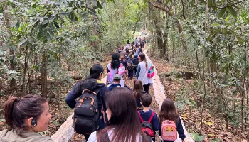 Saiba como participar das trilhas guiadas no Parque do Ingá