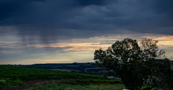 El Niño deve trazer chuva acima da média para o Paraná até dezembro 