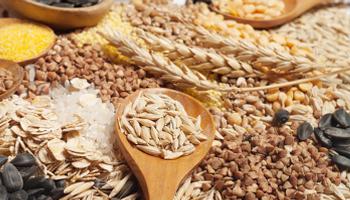 Alimentação rica em fibras é essencial para bom funcionamento do organismo 
